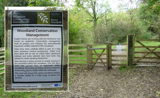 The new Woodland Conservation Management sign, fence and stile in Monsal valley