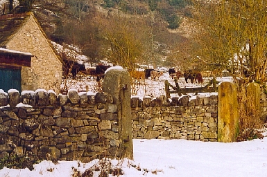 The scene in January 2002