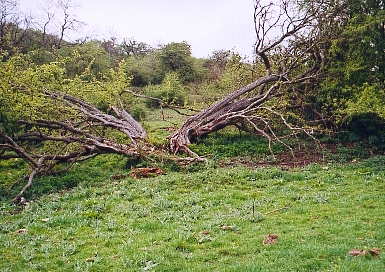The scene in April 2003