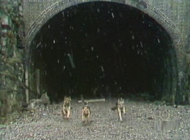 A dog pack races out of the mouth of the tunnel
