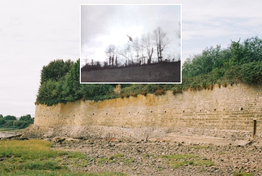 The brick wall at the edge of the estuary at Black Rock  which Greg's helicopter flies above