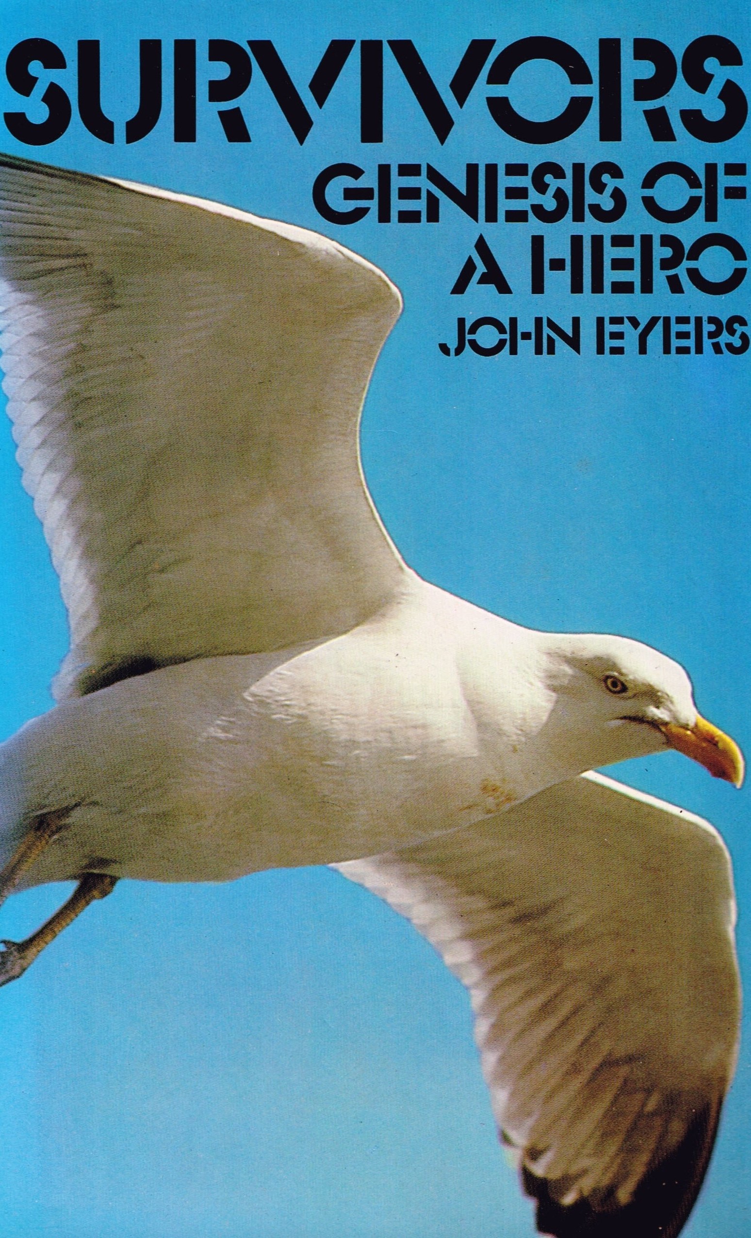 Cover of John Eyers - Survivors: Genesis of a Hero - hardback edition